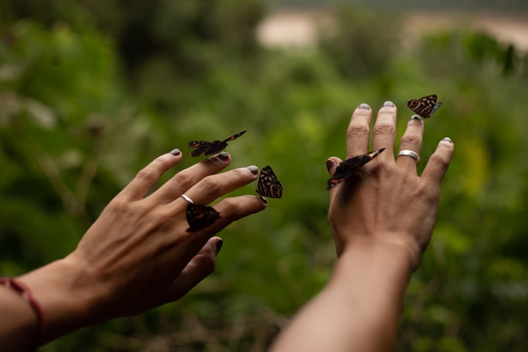 暑期“旅行专列”，让远方有景更有诗意